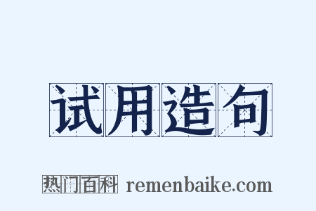 试用造句是什么意思的图片